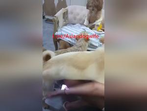 Submissive wife, brute passion with dog