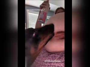 Intensified Canine Fetishism