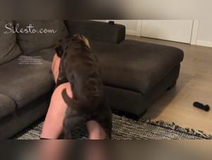 Exclusive bestial session: when the slut succumbs to canine pleasure