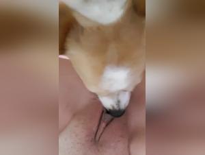 The Unexpected Unleashed: Explore Forbidden Desires with Our Actresses