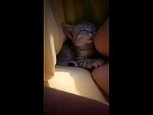 Bestiality sex video: Explore the limits of ecstasy