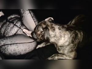 Dominacion canina: un delirio de esperma y violencia