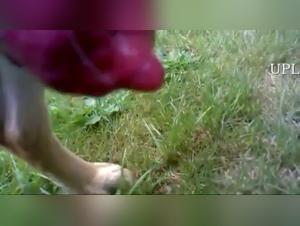 Obscene rooms: Girls and dogs in intense lovemaking