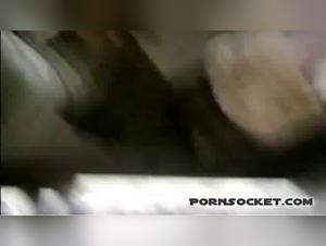 Feline Passion and Animal Instinct: Explore the Limits