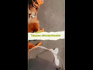 A wild debauchery with a dirty whore and her favorite animal