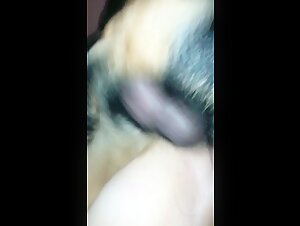 Bestiality sex video: extreme and forbidden