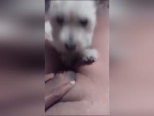 Indulge in the prohibido thrill: Women and Dogs in Erotic Acts