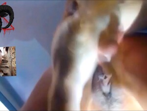 Exploited repository: His thrill, his order, his merciless dog