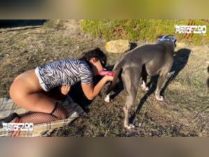 La arabe se la chupa a su perro, guarra bestial