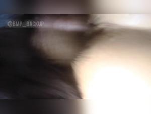 Part 2: A Slut and her Dog in an Obsessive Dance