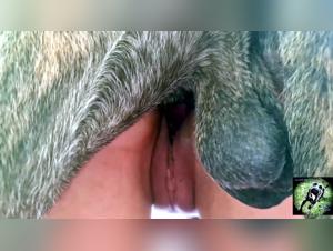 Intensive Sodomie mit Frauen