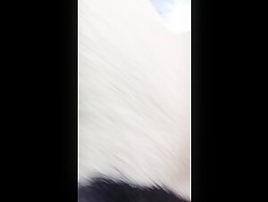 Check out bestiality sex scenes with delicia lanbida and dogs