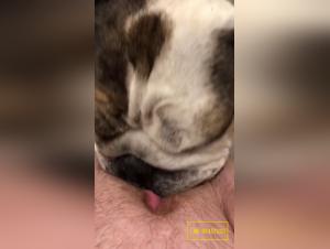 Deep licking, incredible orgasm