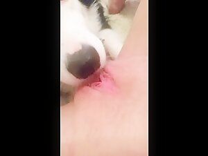 Extreme sex scene with a dog: urinating on the face of a male dog