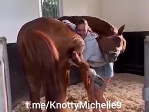 A hot scene with a horse