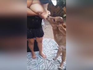Chien maître, femme soumise : Un jeu malsain de puissance et de sexe