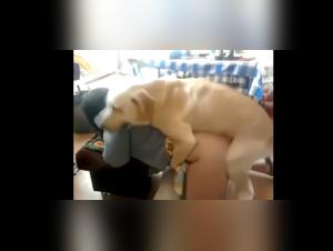 Explore the Abyss: Sordid Desires with Polish Dog