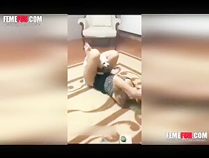 Discover the forbidden pleasures of zoophilia