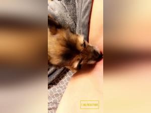 Sensory Freedom: Hardcore Animal Fuck