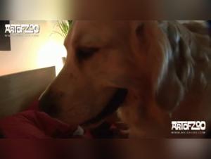 Discover Addiction to the Beast: Hardcore Animal Fucks with Gabby