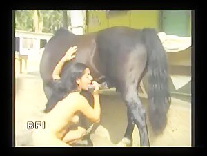 Hard and extreme bestiality videos