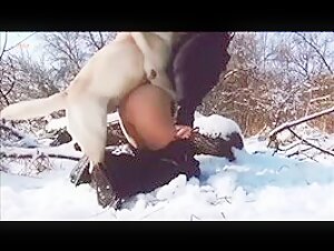 Extreme sex acts with dogs outdoors