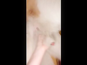 Amateur-Sexvideo mit Hunden