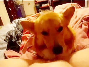 Discover the extreme pleasure of bestiality