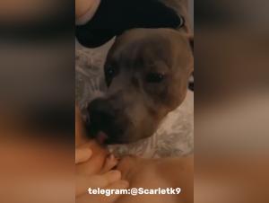 Wild teen, merciless dog