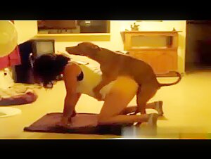 Videos mit extremem Hundesex: Beobachten Sie Mama und ihren Hund in expliziten Stellungen
