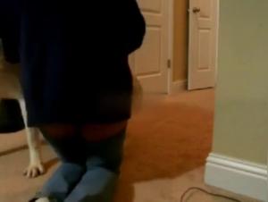 Animal Smashing: Mad Dog and Submissive Slut