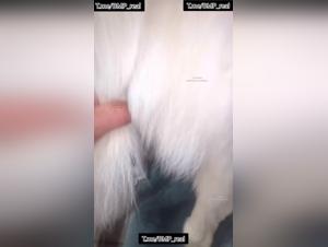 Discover the Extreme Eroticism of Spider-Women and their Canine Passion