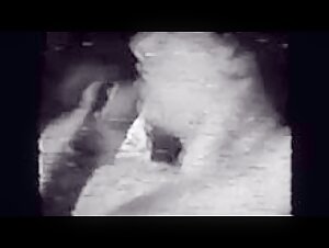 Extreme practices in this dog sex video