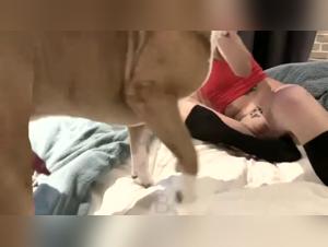 Exploring Forbidden Desires: Sonya and her Forbidden Love with a Dog