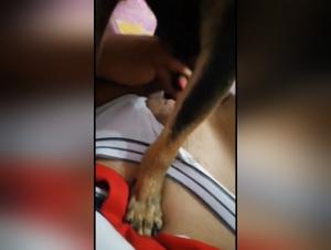 Hardcore Session: Canine Domination and Fiery Fucking