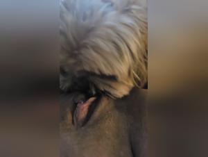 Part 1: An Incandescent Bestial Rape