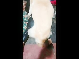 Discover the forbidden pleasures of bestiality with ArtofZoo