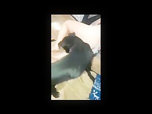 Canine submission and extreme pleasure