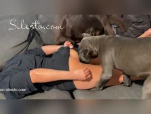 Scarlet Canine Fucking: A Wild Introduction to Enjoyment