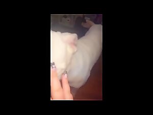 Whore gets dominated by her dog.