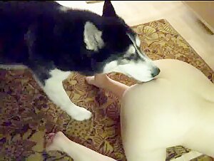 Discover Kasia's antics with her faithful canine companion
