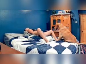 Exploring Forbidden Desires: Women and Dogs in an Erotic Dance