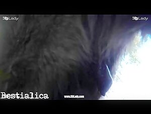 Hardcore bestiality videos featuring wild animals