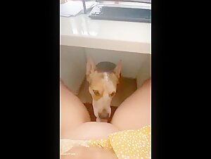 Ein einzigartiges tierisches Erlebnis