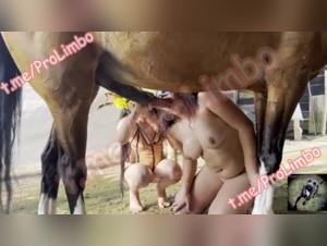New Girl, Tight Ass, Crazy Horse Fuck