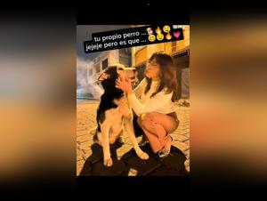Animal TikTok