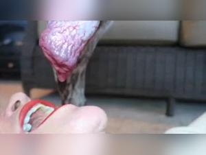 soumission et pulsions sauvages : sexe avec chien