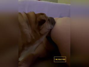 Disgust and enjoyment: Stupidity surges in this hardcore zoophilia scenario
