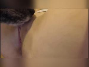 Exacerbated frustration, animal urges: The ultimate sexual experience with a dog