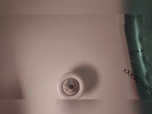 Hardcore Zoophilia: Dog fucks a BBW mercilessly